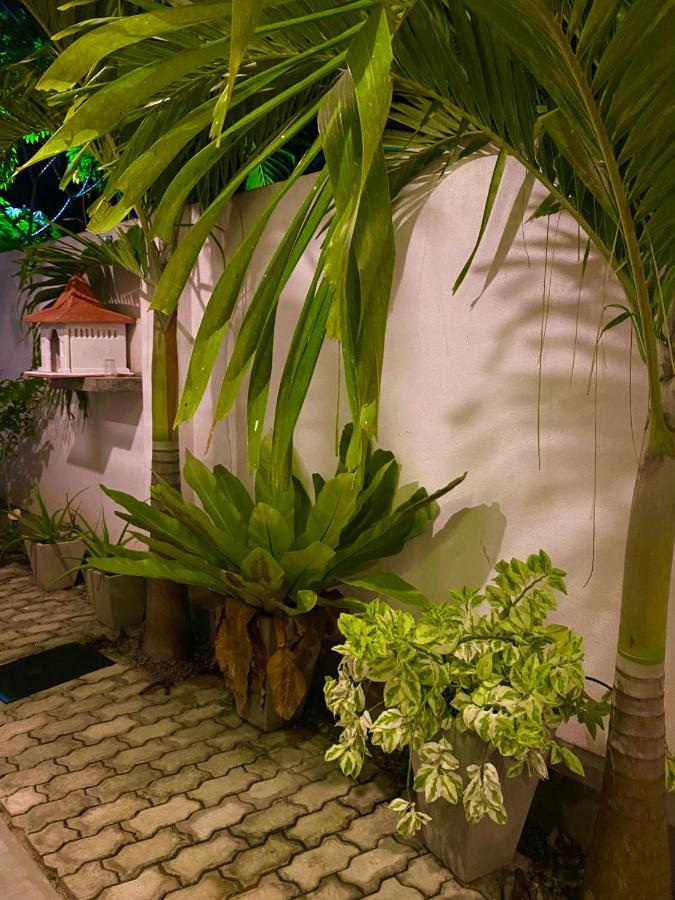 Guesthouse Bodensee Hikkaduwa Exteriér fotografie